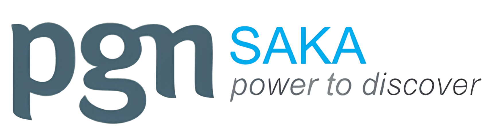 PGN Saka